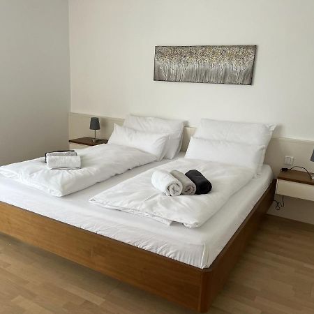 Luxusappartement Mit Garage Im Zentrum Винер Нойщат Екстериор снимка