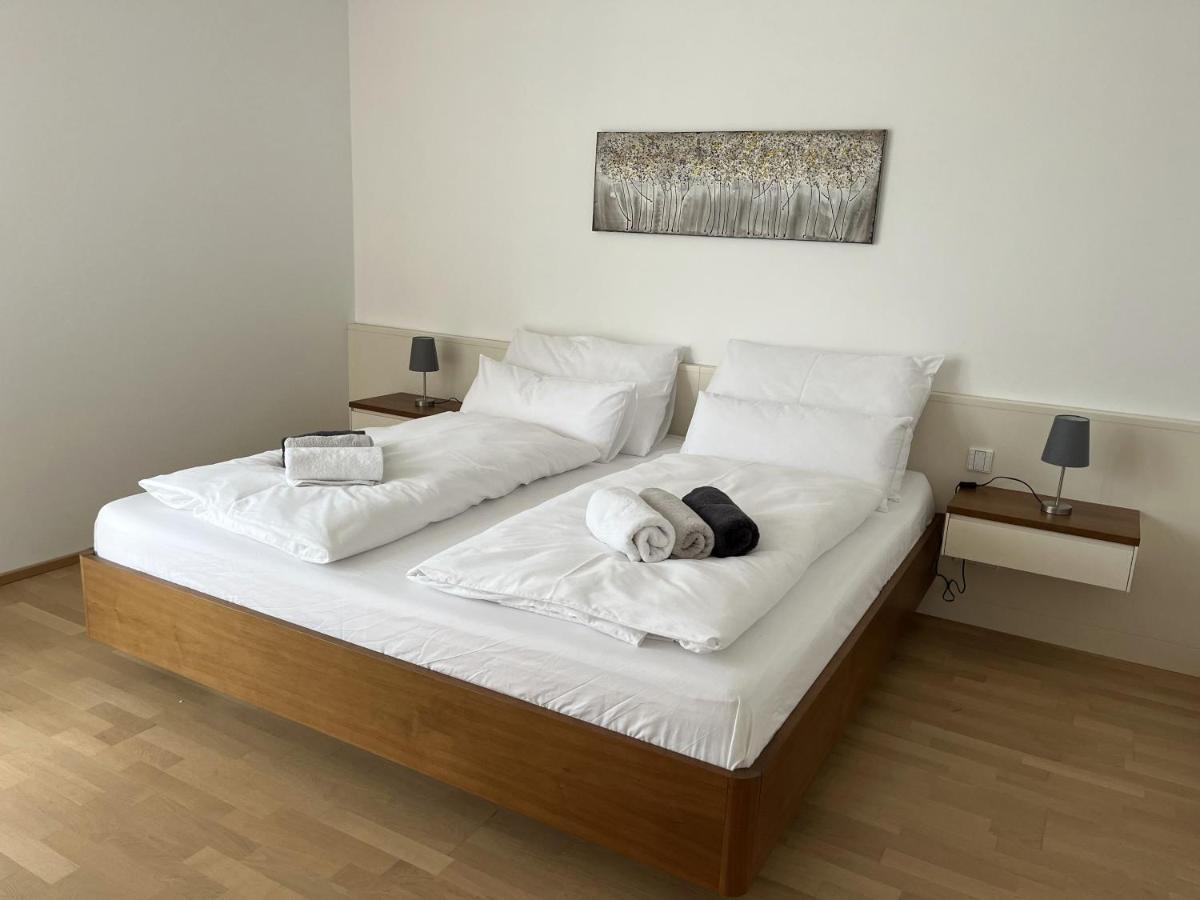 Luxusappartement Mit Garage Im Zentrum Винер Нойщат Екстериор снимка